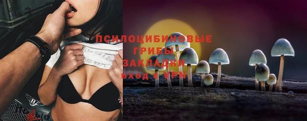 кристаллы Покачи