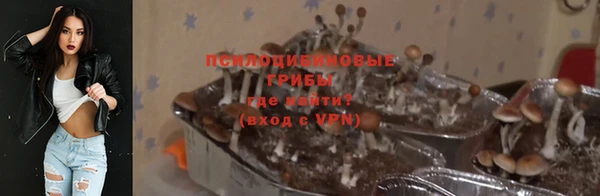 кристаллы Покачи