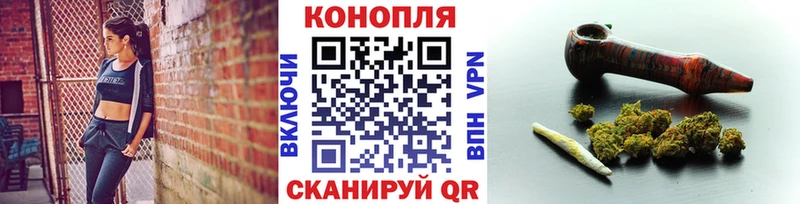 Канабис планчик Пойковский
